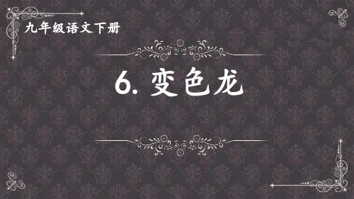 新统编人教版初中语文九年级下册第6课《变色龙》精品ppt教学课件