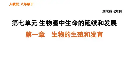 人教版八年级下册生物期末复习冲刺第七单元第一章生物的生殖和发育习题课件