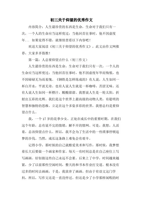 初三关于仰望的优秀作文