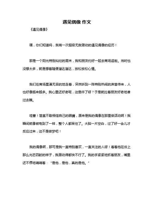 遇见偶像 作文
