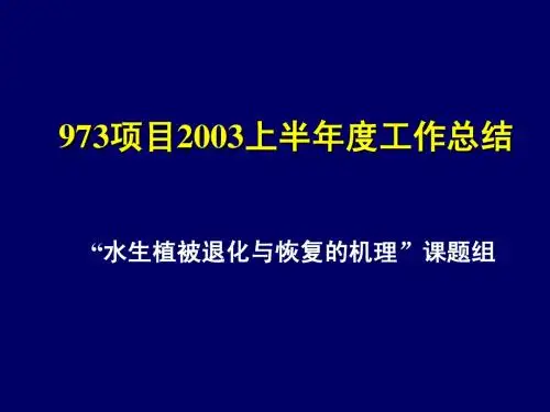 973项目2003上半年度工作总结