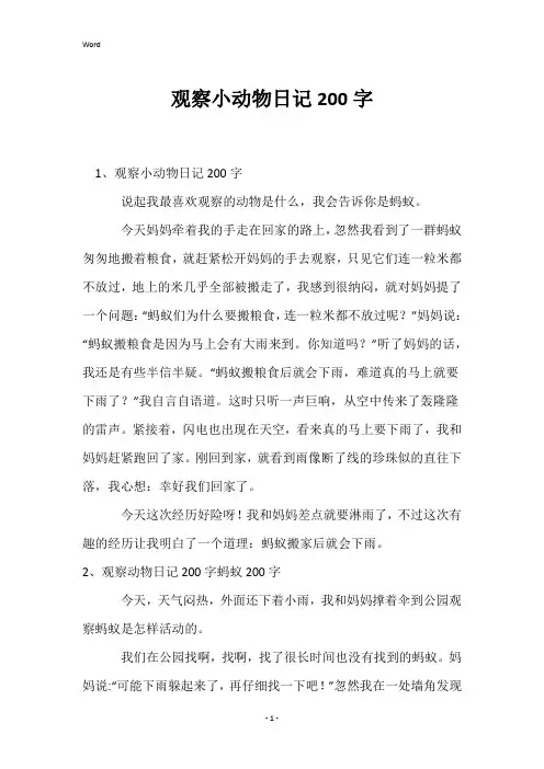 观察小动物日记200字