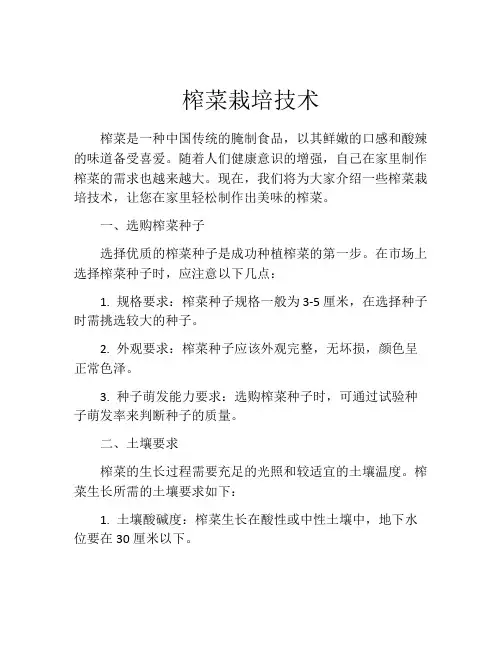 榨菜栽培技术