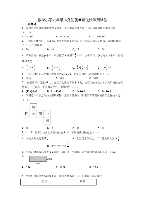 数学小学六年级小升初质量培优试题测试卷