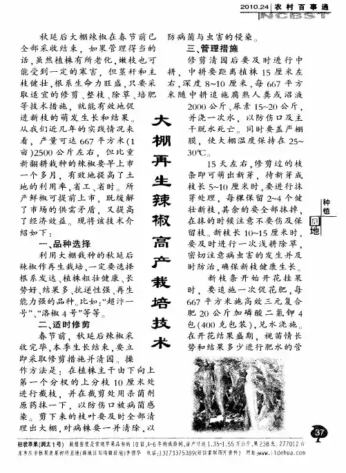大棚再生辣椒高产栽培技术