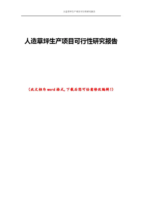 人造草坪生产项目可行性研究报告