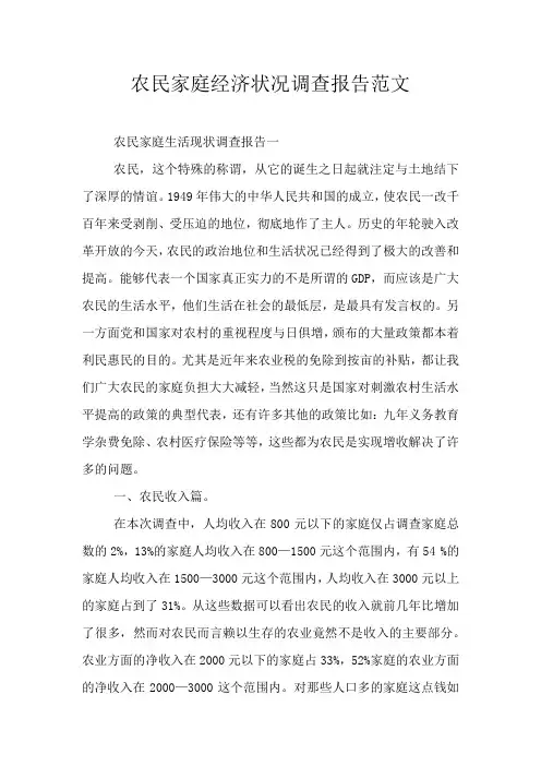 农民家庭经济状况调查报告范文