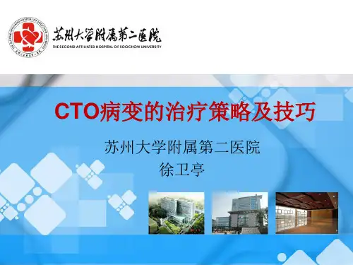 CTO病变治疗策略解析