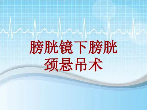 手术讲解模板：膀胱镜下膀胱颈悬吊术