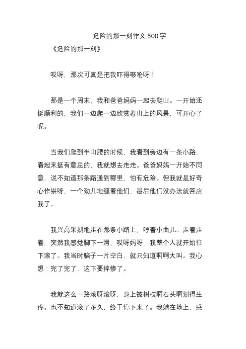 危险的那一刻作文500字