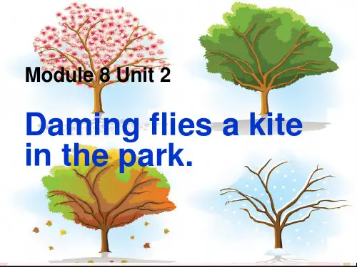 三年级英语下册课件-Module 8 Unit 2 Daming flies a kite in the park57-外研版（三起）