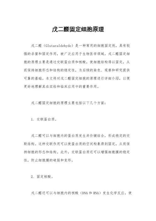戊二醛固定细胞原理