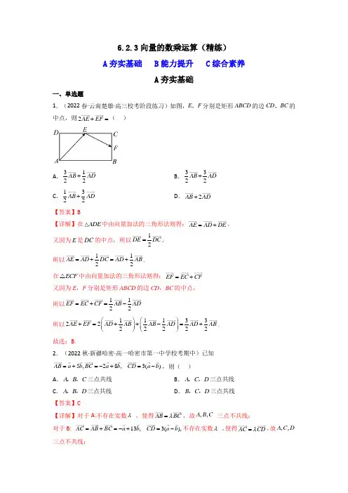 6.2.3 向量的数乘运算(精练)(解析版)(练习))