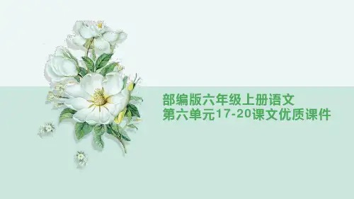 部编版六年级上册语文第六单元17-20课文优质课件