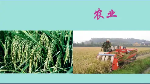 【初中】八年级地理上册第四章第二节_农业_课件最新ppt课件(新人教版)