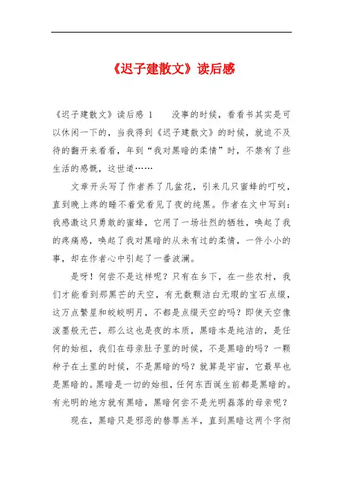 《迟子建散文》读后感