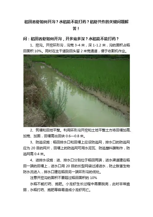 稻田养虾如何开沟？水稻能不能打药？稻虾共作的关键问题解答！
