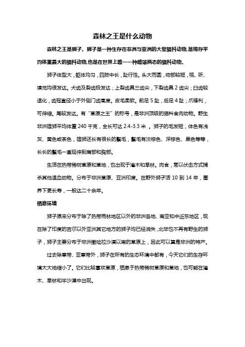 森林之王是什么动物
