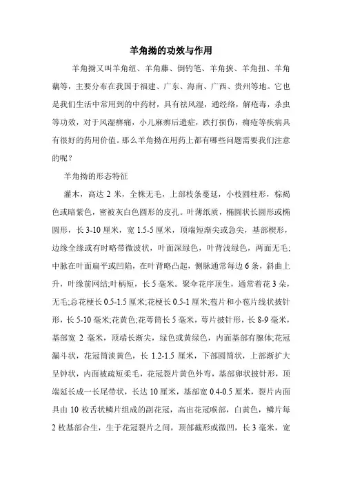 羊角拗的功效与作用