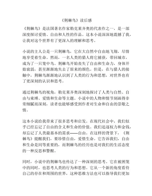 《荆棘鸟》读后感