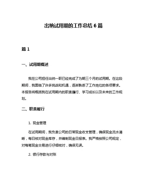 出纳试用期的工作总结6篇