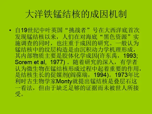 大洋铁锰结核的成因机制讨论