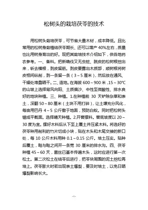 松树头的栽培茯苓的技术