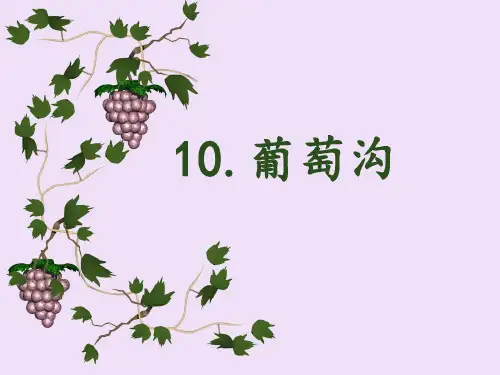 最新版教材《葡萄沟》PPT课件