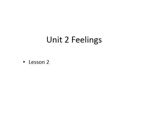 Unit 2 Feelings Lesson 2 Was he happy？鲁科版五年级上册英语