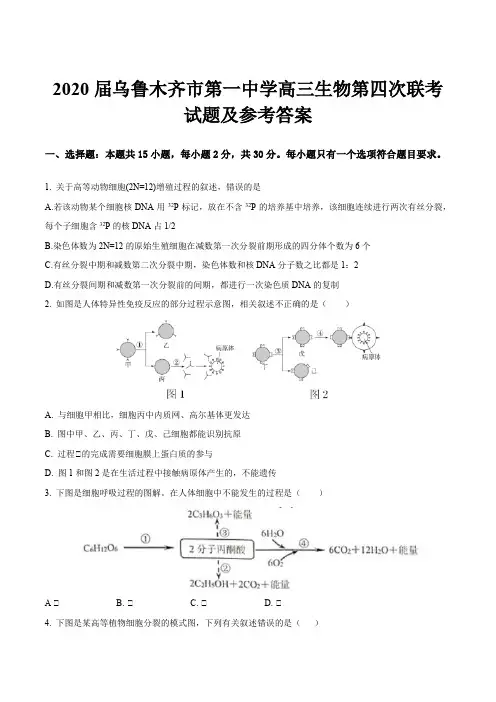 2020届乌鲁木齐市第一中学高三生物第四次联考试题及参考答案