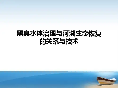 黑臭水体治理与河湖生态恢复的关系与技术
