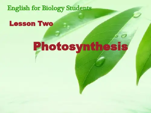 生物专业英语 Photosynthesis