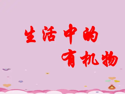 什么是有机化合物PPT课件4 沪教版