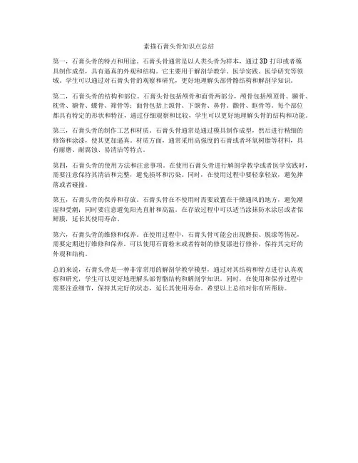 素描石膏头骨知识点总结