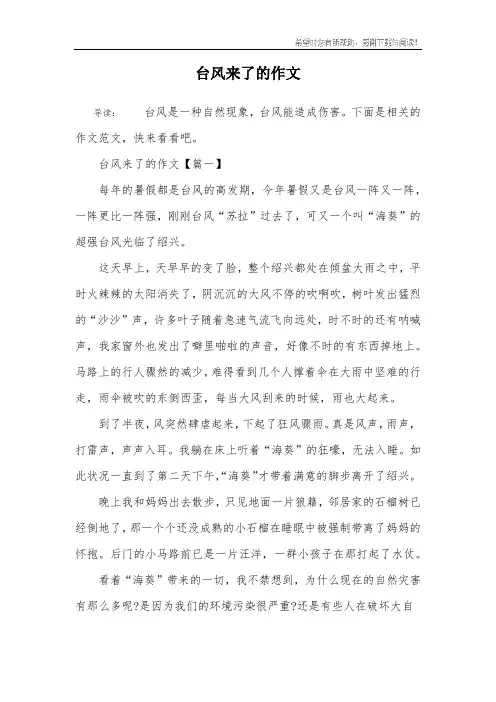 台风来了的作文