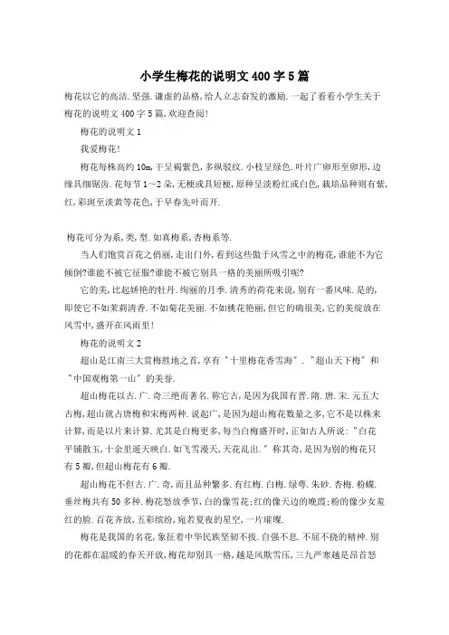 小学生梅花的说明文400字5篇