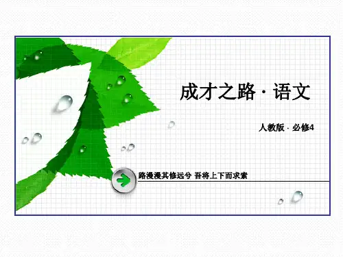第5课苏轼词两首复习总结
