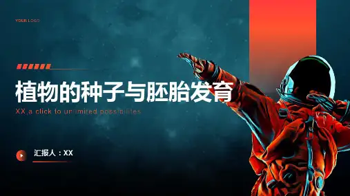 植物的种子与胚胎发育