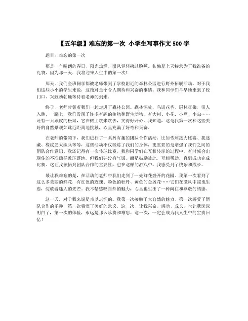 【五年级】难忘的第一次 小学生写事作文500字