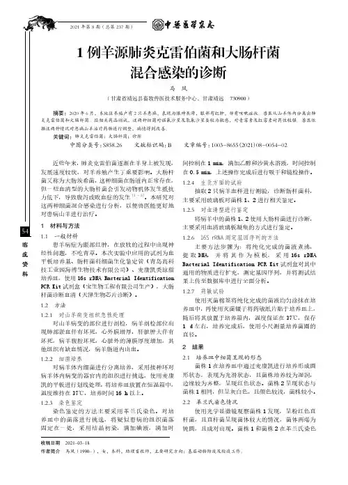 1例羊源肺炎克雷伯菌和大肠杆菌混合感染的诊断