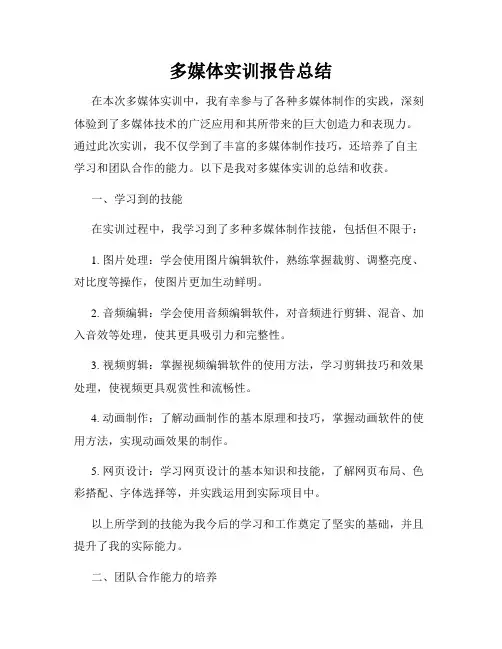 多媒体实训报告总结