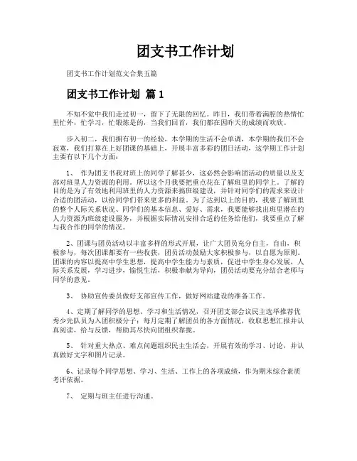 团支书工作计划