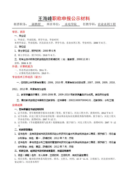 副教授-水电学院-王海峰