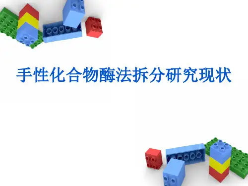 手性化合物酶法拆分