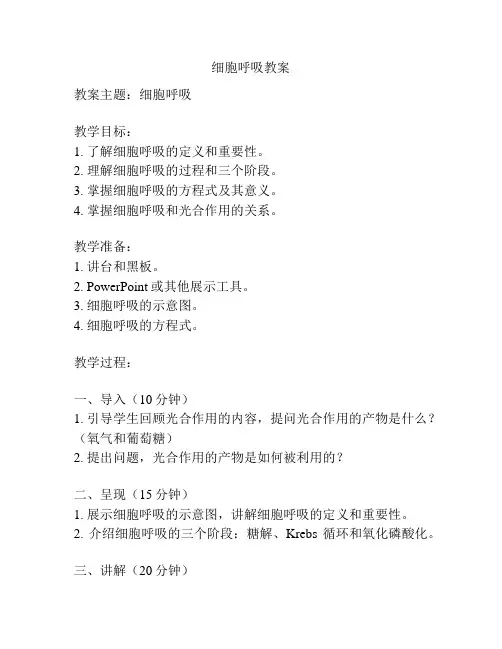 细胞呼吸教案