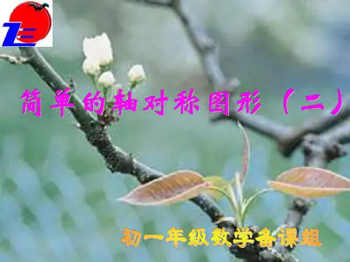 七年级数学简单的轴对称图形2-P