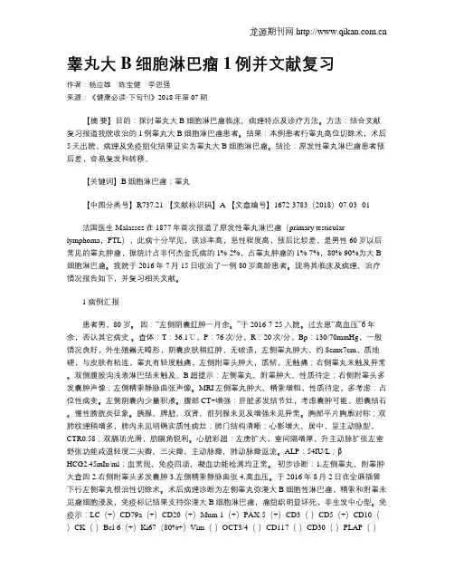 睾丸大B细胞淋巴瘤1例并文献复习