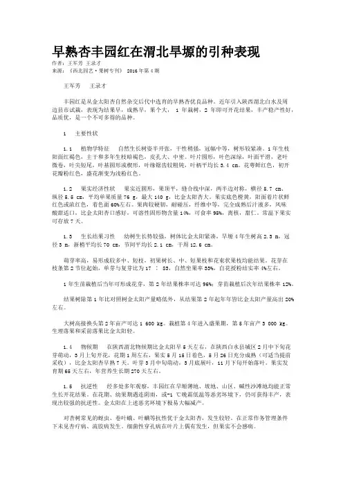 早熟杏丰园红在渭北旱塬的引种表现