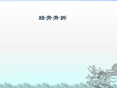 胫腓骨骨折PPT课件