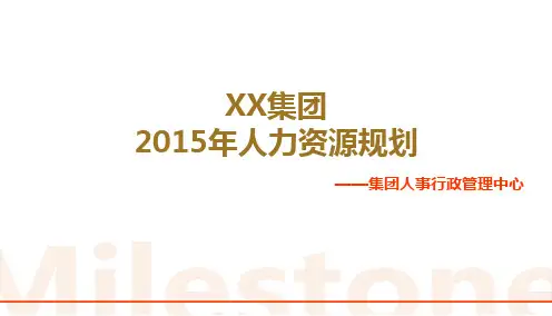 XX集团2015年人力资源规划
